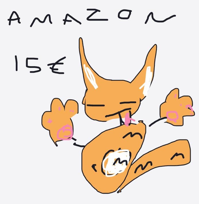 Firefox — NeatChineseAlligator6557